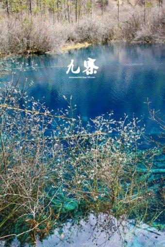 救援受困的小野猫