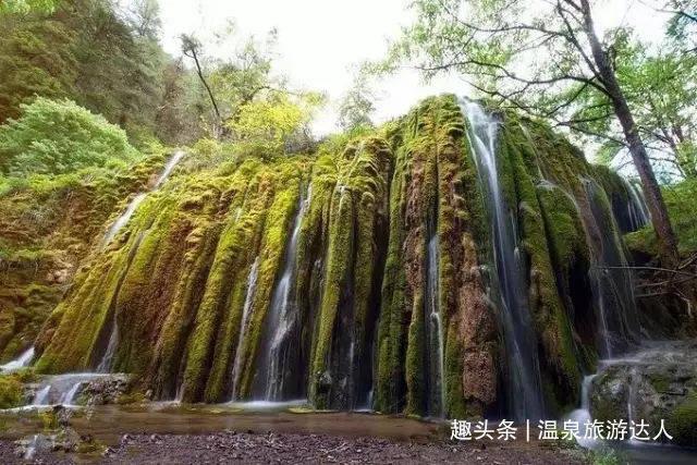 小乌龟逃亡记