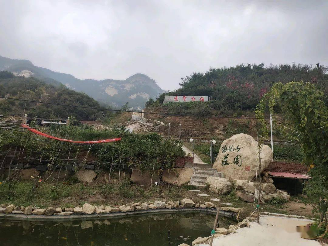 救援卡通小象