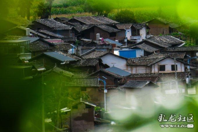 生化危机启示录2