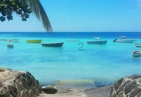 石油骚动