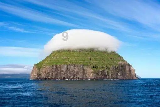 寻找沙漠珍宝