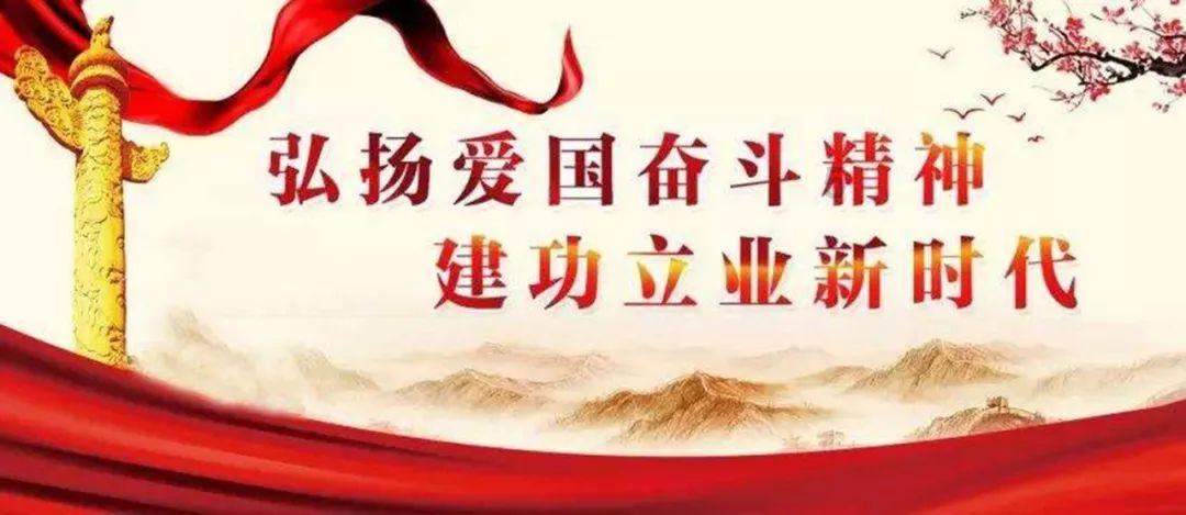 救援呆萌的猫