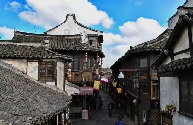 拯救枯树