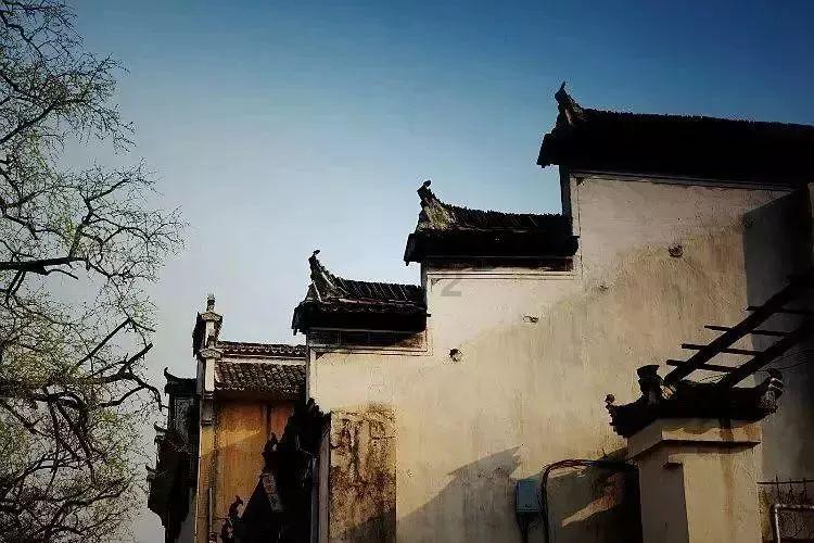 肝病护理的基本原则是什么